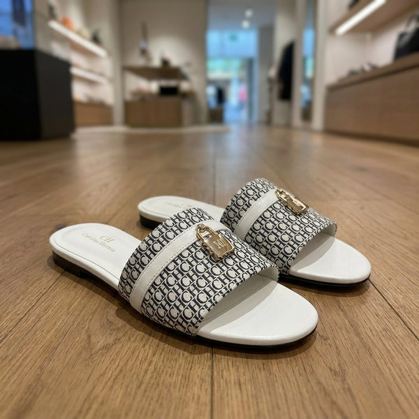 Flexra Slides